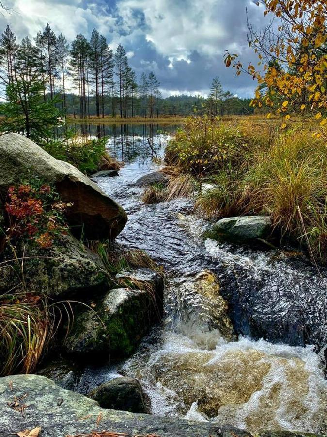 Cabin In The Woods, Lolandsvannet Near Kristiansand Vennesla Exterior foto